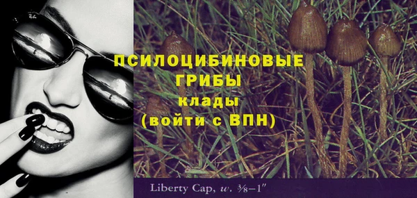 ALPHA PVP Ачинск