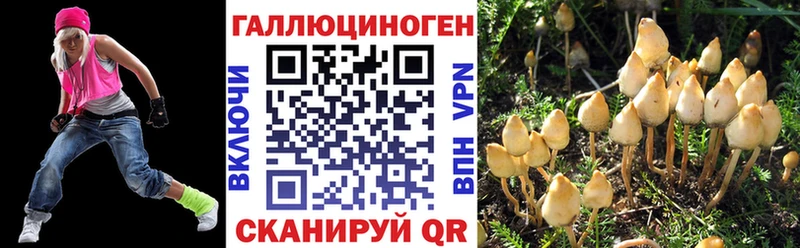 Галлюциногенные грибы мицелий  omg   Ивдель 