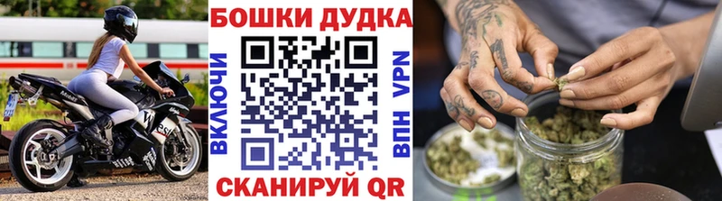 Бошки Шишки Amnesia  кракен ССЫЛКА  Ивдель 